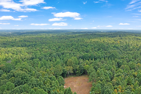 TN Hunter’s Paradise with Food Plots & Prime Wildlife Habitat - image 12