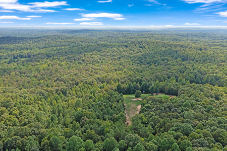 TN Hunter’s Paradise with Food Plots & Prime Wildlife Habitat - image 21