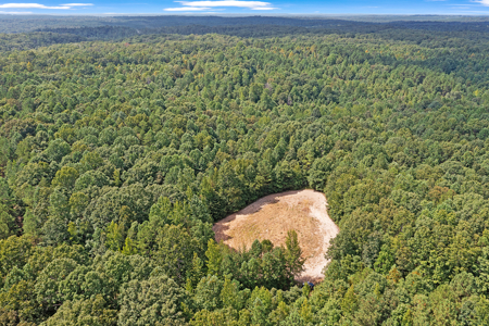 TN Hunter’s Paradise with Food Plots & Prime Wildlife Habitat - image 5