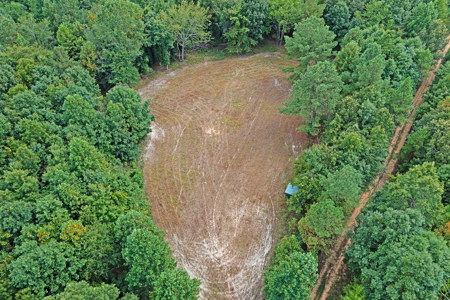 TN Hunter’s Paradise with Food Plots & Prime Wildlife Habitat - image 13
