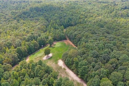 TN Hunter’s Paradise with Food Plots & Prime Wildlife Habitat - image 22