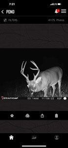 TN Hunter’s Paradise with Food Plots & Prime Wildlife Habitat - image 30