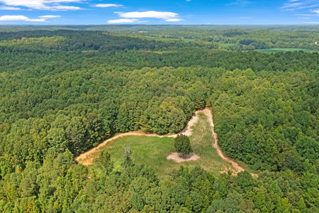 TN Hunter’s Paradise with Food Plots & Prime Wildlife Habitat - image 1