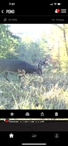 TN Hunter’s Paradise with Food Plots & Prime Wildlife Habitat - image 31