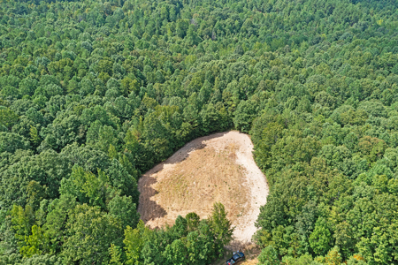 TN Hunter’s Paradise with Food Plots & Prime Wildlife Habitat - image 6