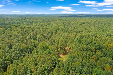 TN Hunter’s Paradise with Food Plots & Prime Wildlife Habitat - image 11