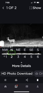TN Hunter’s Paradise with Food Plots & Prime Wildlife Habitat - image 24