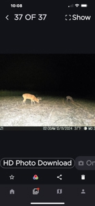 TN Hunter’s Paradise with Food Plots & Prime Wildlife Habitat - image 23