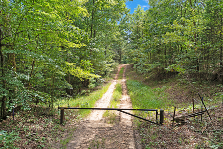 TN Hunter’s Paradise with Food Plots & Prime Wildlife Habitat - image 17