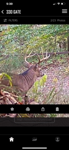 TN Hunter’s Paradise with Food Plots & Prime Wildlife Habitat - image 33