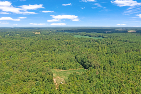 TN Hunter’s Paradise with Food Plots & Prime Wildlife Habitat - image 20