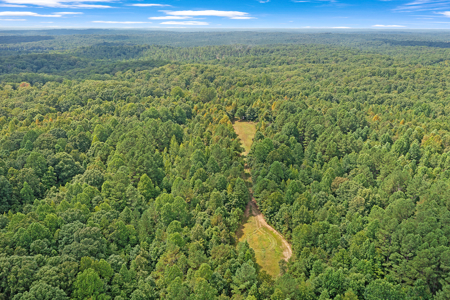 TN Hunter’s Paradise with Food Plots & Prime Wildlife Habitat - image 10