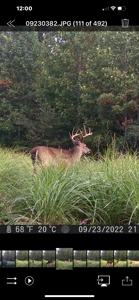 TN Hunter’s Paradise with Food Plots & Prime Wildlife Habitat - image 29