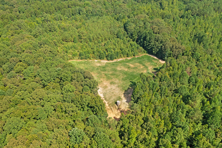TN Hunter’s Paradise with Food Plots & Prime Wildlife Habitat - image 19
