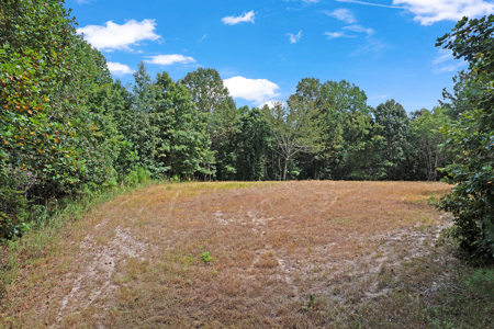 TN Hunter’s Paradise with Food Plots & Prime Wildlife Habitat - image 14