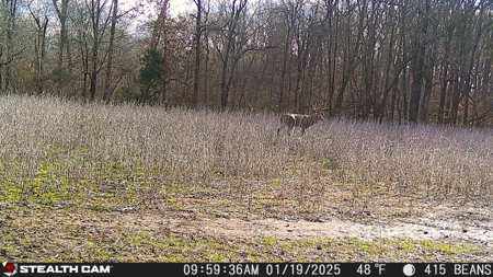 TN Hunter’s Paradise with Food Plots & Prime Wildlife Habitat - image 26