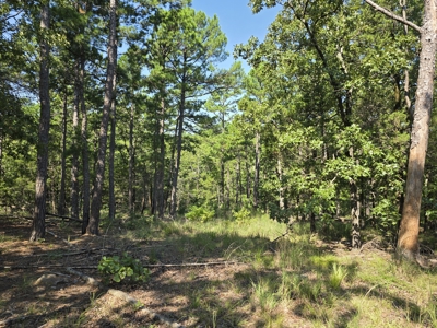 Kiamichi Mountain Recreational Property - image 12