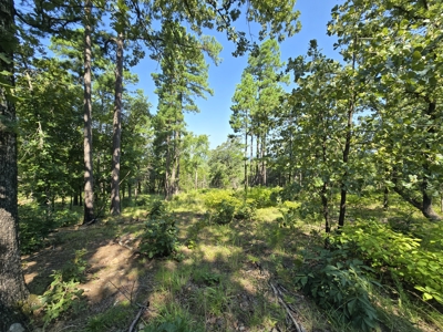 Kiamichi Mountain Recreational Property - image 7