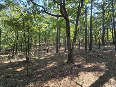 Kiamichi Mountain Recreational Property - image 2
