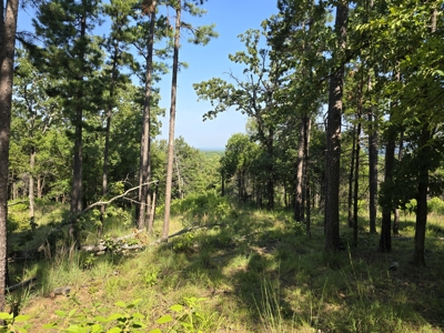 Kiamichi Mountain Recreational Property - image 9