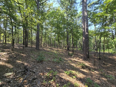 Kiamichi Mountain Recreational Property - image 1