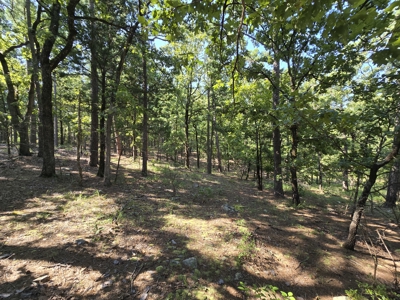 Kiamichi Mountain Recreational Property - image 13