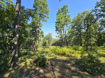Kiamichi Mountain Recreational Property - image 8