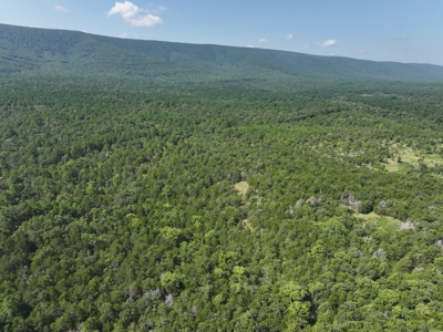 Kiamichi Mountain Recreational Property - image 5