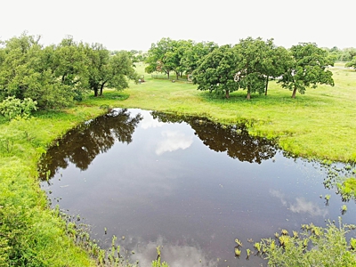 Country Home on 10plus Acs. near Brownwood TX For Sale - image 5