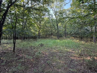 Rogers County Oklahoma Land For Sale - image 29