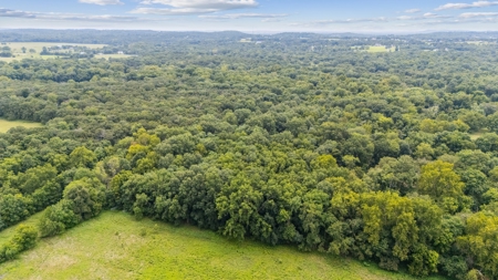 Rogers County Oklahoma Land For Sale - image 19