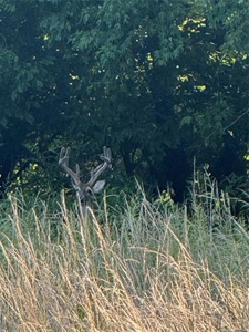 Rogers County Oklahoma Land For Sale - image 27