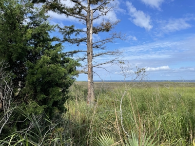 Waterfront Lot for Sale Beaufort NC - image 19