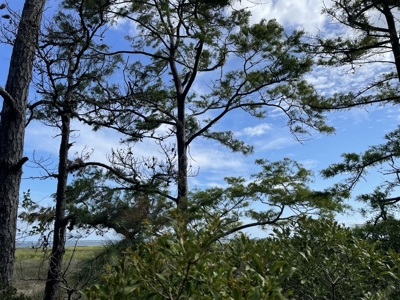 Waterfront Lot for Sale Beaufort NC - image 23