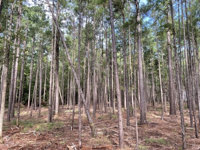 Waterfront Lot for Sale Beaufort NC - image 16