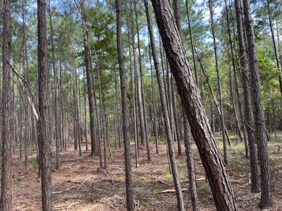 Waterfront Lot for Sale Beaufort NC - image 17