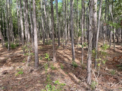 Waterfront Lot for Sale Beaufort NC - image 15