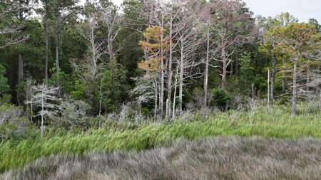 Waterfront Lot for Sale Beaufort NC - image 12