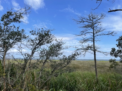 Waterfront Lot for Sale Beaufort NC - image 21