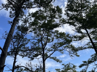 Waterfront Lot for Sale Beaufort NC - image 22