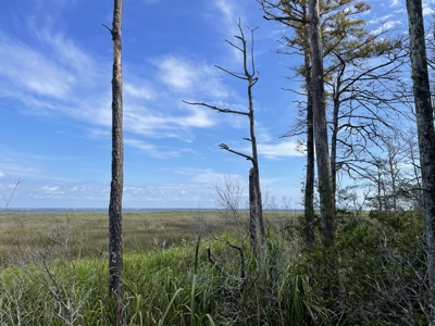 Waterfront Lot for Sale Beaufort NC - image 20