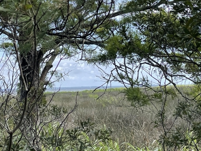 Waterfront Lot for Sale Beaufort NC - image 24