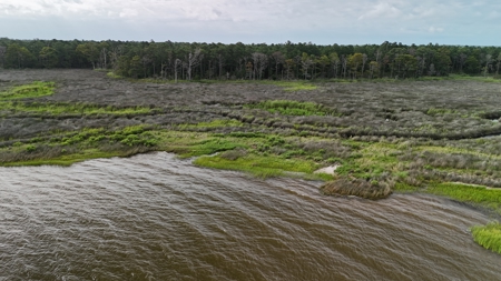 Waterfront Lot for Sale Beaufort NC - image 9