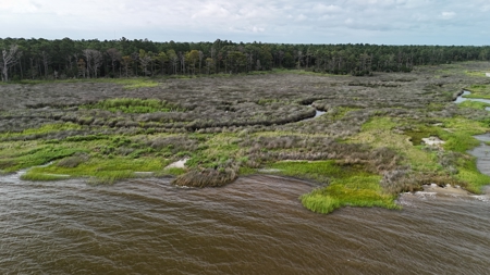 Waterfront Lot for Sale Beaufort NC - image 10