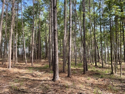 Waterfront Lot for Sale Beaufort NC - image 18