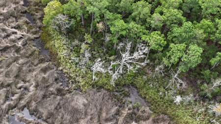 Waterfront Lot for Sale Beaufort NC - image 13