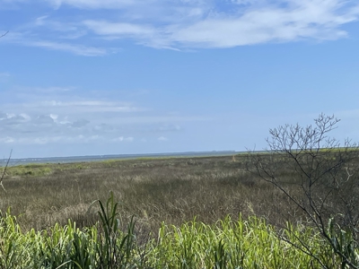 Waterfront Lot for Sale Beaufort NC - image 25
