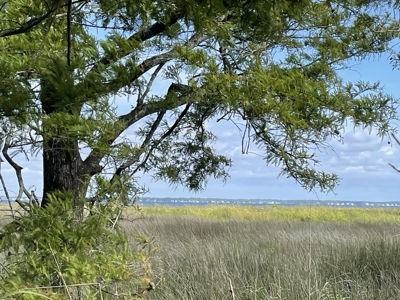 Waterfront Lot for Sale Beaufort NC - image 8