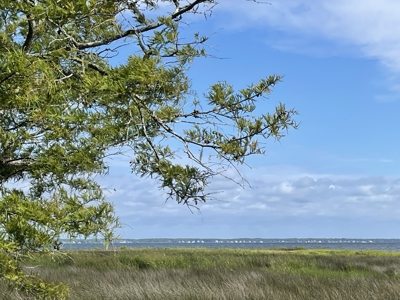 Waterfront Lot for Sale Beaufort NC - image 22