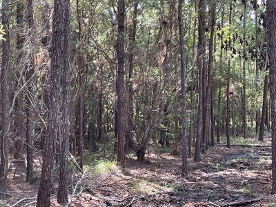Waterfront Lot for Sale Beaufort NC - image 26